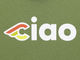 Cinelli Camiseta Ciao 2 - green/M