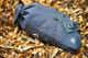 SILCA Grinta Roll Top BOA Saddle Bag - black | 2500 ml