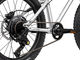 EARLY RIDER Vélo pour Enfant Seeker 20" - brushed aluminium/20"