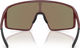 Bliz Lunettes de Sport P001S - matte burgundy