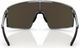 Bliz P001 Sports Glasses - transparent dark grey | 