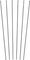 DT Swiss Spoke Kit for PRC 1400 SPLINE® 35 - black/282 mm, 290 mm, 295 mm