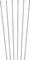 DT Swiss Speichenkit für HXC 1200 SPLINE® 30 29" - schwarz/285 mm, 286 mm, 287 mm