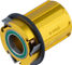 tune Conversion kit with Endurance freewheel body for quick release - gold/SRAM XDR