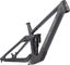 Transition Sentinel Carbon Rahmenkit Modell 2025 - graphite grey/L