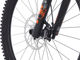 RAAW Mountain Bikes Jibb bc Edition 29" Mountainbike - raw matt | 150 mm | 29" | L