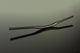 Renthal V3 Fatbar Carbon 31.8 20 mm Riser Lenker - carbon-gold/800 mm