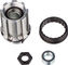 Elite 11-speed Freehub Body for Turbo Muin - silver/Campagnolo
