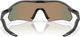 Oakley Radar Plate Sportbrille - matte carbon/prizm ruby