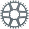 e*thirteen Helix R Guidering Direct Mount Kettenblatt - grey/32 Z