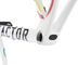 Factor OSTRO V.A.M Disc 1900 Limited Edition Carbon Frame Kit - 1900 edition/54 cm, T47a DUB