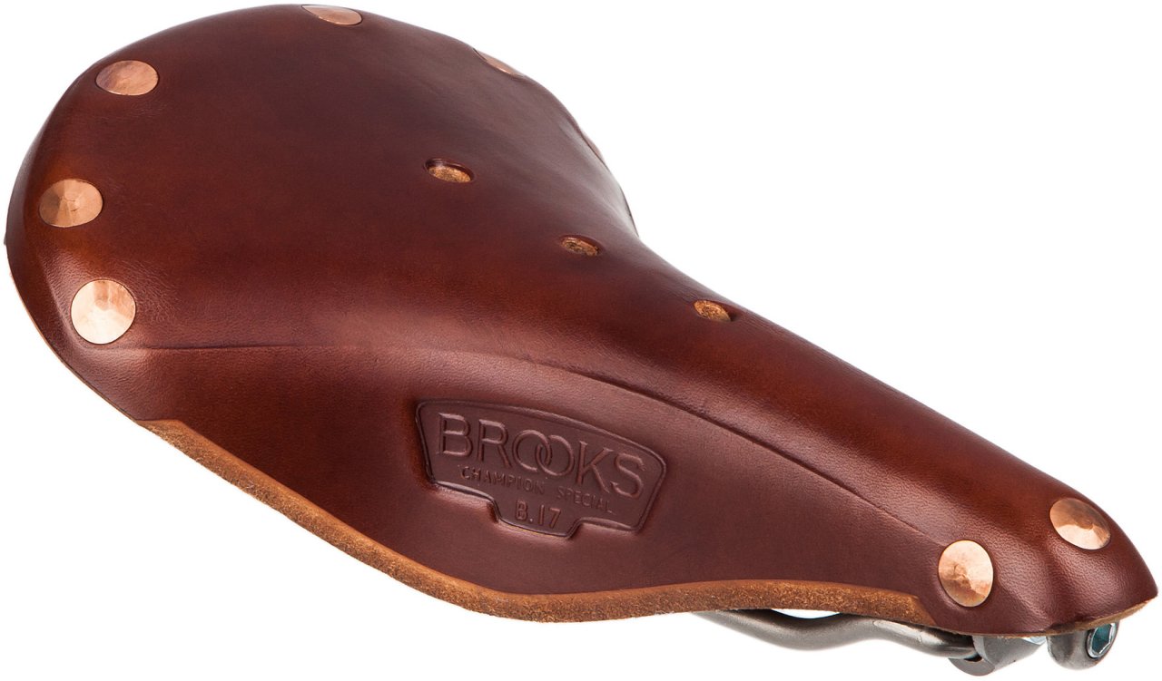 brooks b17 titanium saddle