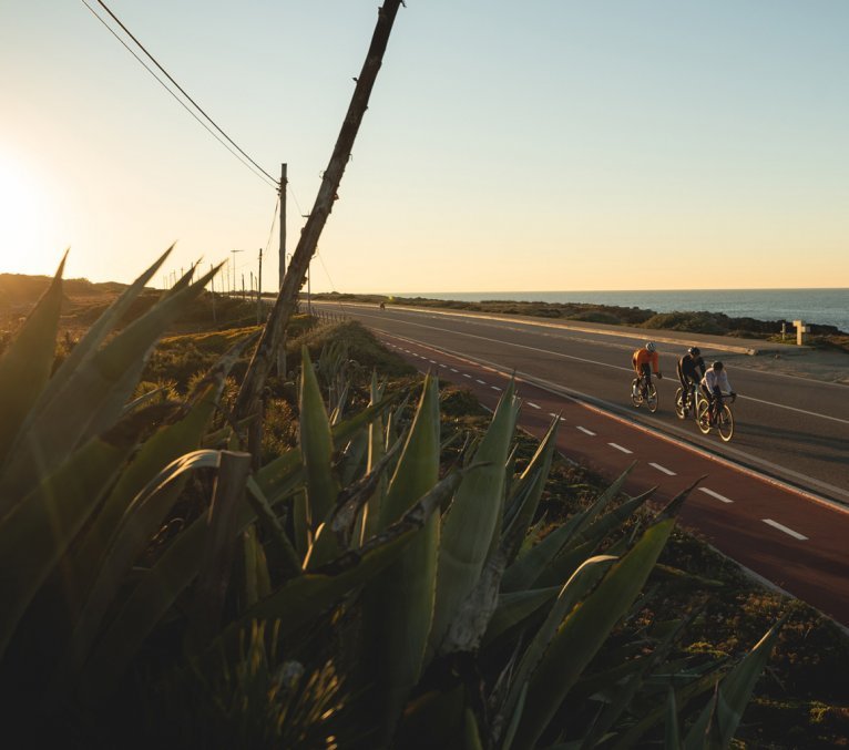 Laura, Markus y Sergej de bc montando en sus bicis de ruta por una carretera cercana a la costa. Puesta de sol al fondo.