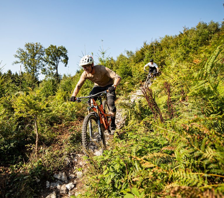 Mountainbiker rasen grüne Landschaft herunter
