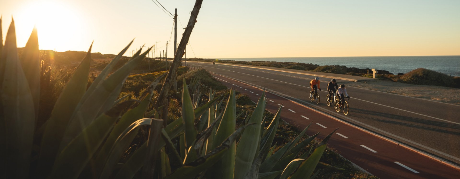 Laura, Markus y Sergej de bc montando en sus bicis de ruta por una carretera cercana a la costa. Puesta de sol al fondo.