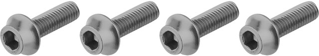 Wolf Tooth Components Vis pour Porte-Bidon - silver/universal
