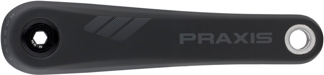 Praxis Works eCrank Carbon Kurbelarme für Brose / Fazua - black/170,0 mm