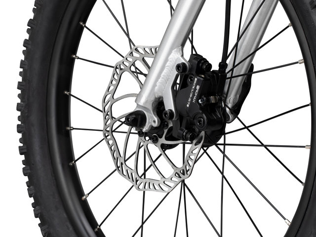 EARLY RIDER Bicicleta para niños Seeker 20" - brushed aluminium/universal